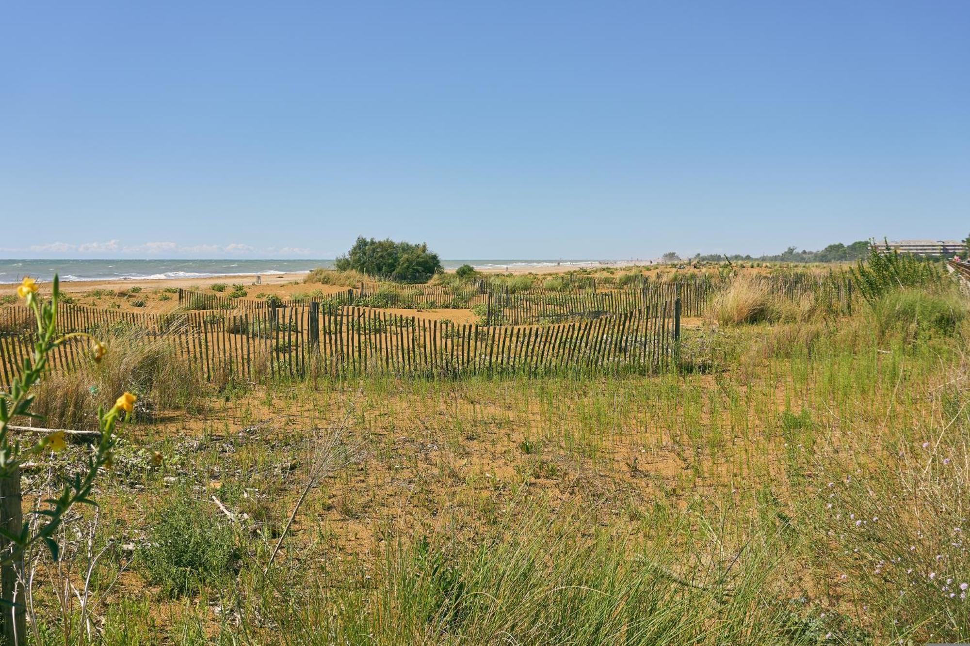 Homely Flat For 5, In A Green Area In Bibione Exterior foto